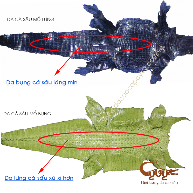 Ví da cá sấu đan viền - vcl95h1 - 11