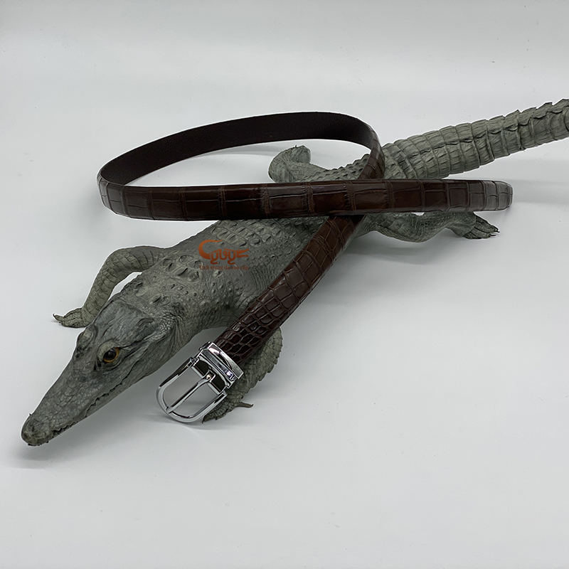 Dây nịt da cá sấu nữ tc252m - 3
