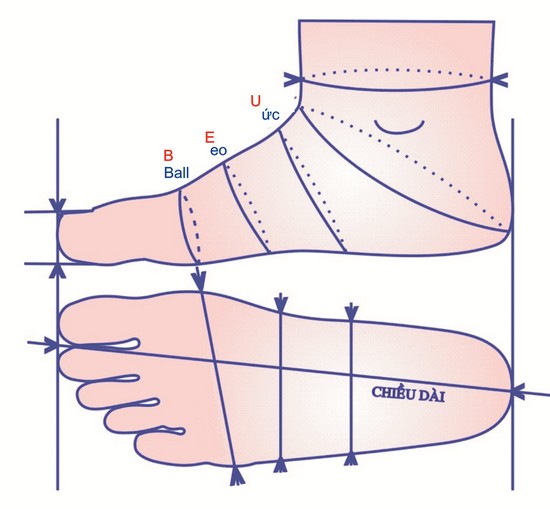 Cách đo size chân - bảng quy đổi size giày dép việt nam - 3