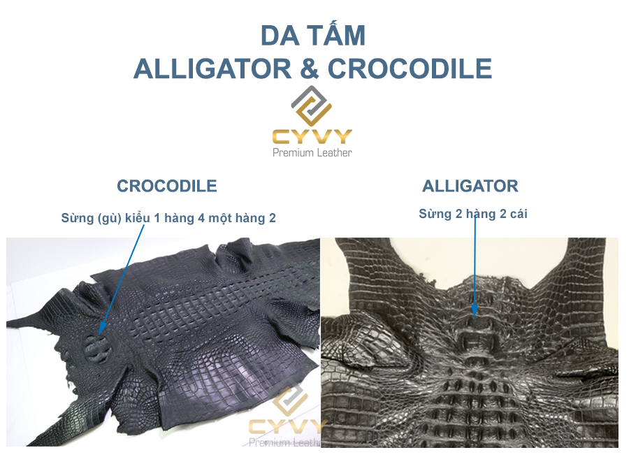 Hướng dẫn cách phân biệt da cá sấu làm từ crocodile và alligator - 6