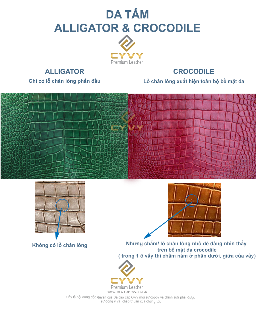 Hướng dẫn cách phân biệt da cá sấu làm từ crocodile và alligator - 4