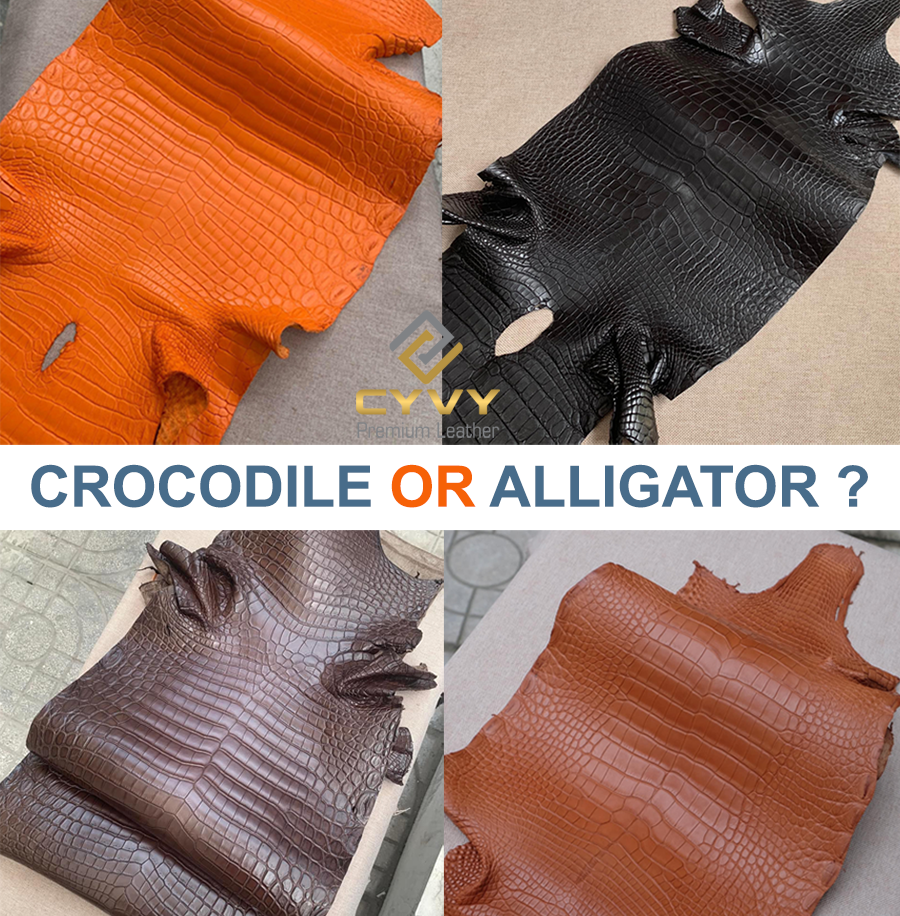 Hướng dẫn cách phân biệt da cá sấu làm từ Crocodile và Alligator.